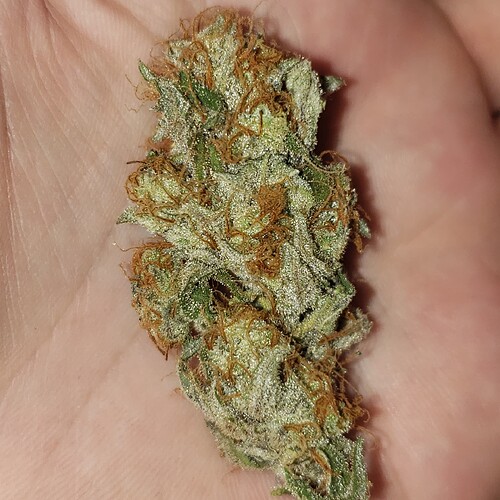 17172079979384883407088157255144