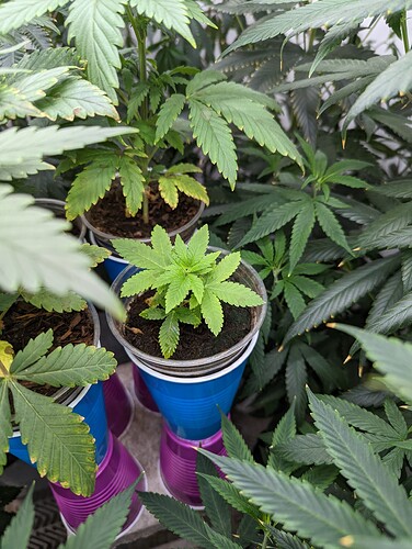 PXL_20220620_123405464