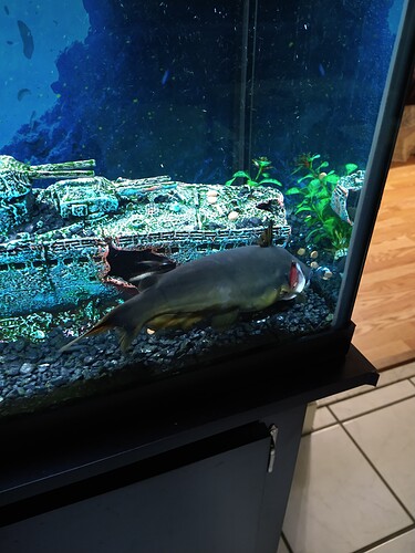 IMG_20220111_182138347