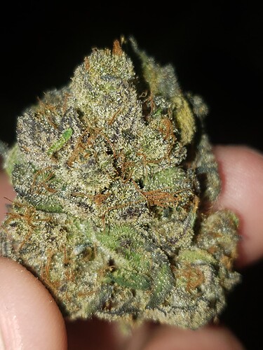 16288114451138020902861422890101