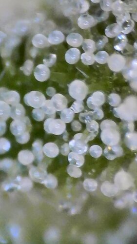 2022_03_02_10_33_43_404