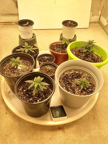 IMG_20211228_143901131_HDR