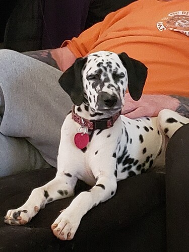 7D97298C-1250-4FE8-B929-DB6973822EA6