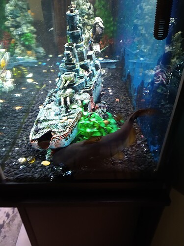 IMG_20220111_182149229