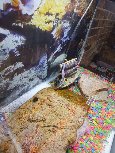 Resized_20220705_131621