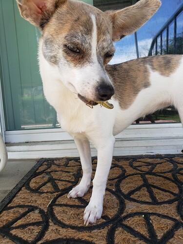 Resized_20221002_130654