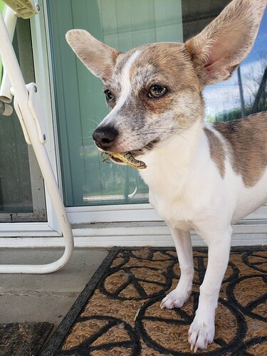 Resized_20221002_130656