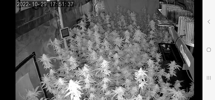 Screenshot_20221029_175142_Tuya Smart