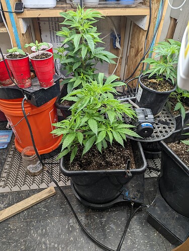 PXL_20220622_194015577