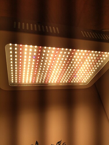 15923629488575004752979668469184