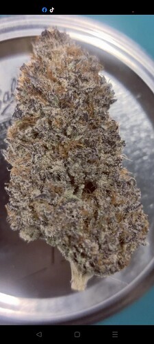 Screenshot_2025-10-22-20-48-22-22_b72a20be883aec8a014bd2b7c7038e87