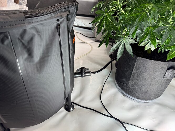 IMG_6164