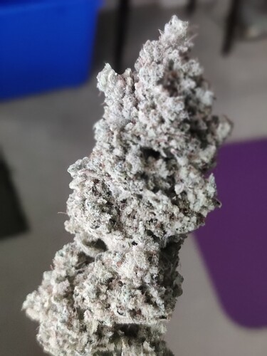 IMG_20251025_132522_Bokeh