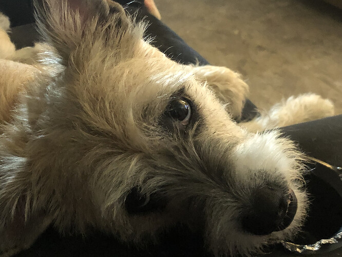 E540D082-6528-4CAE-A8A6-D7E9C4721E55