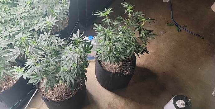 received_444887217825566