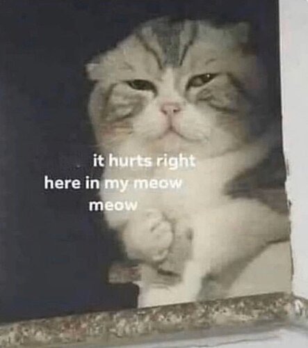 meowmeowhurt