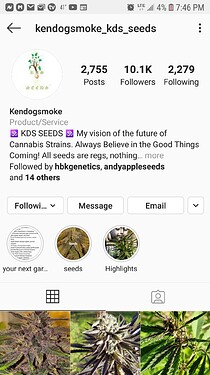 Screenshot_20200512-194632_Instagram