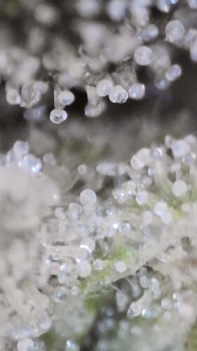 2022_03_04_11_45_10_369