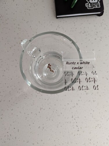 PXL_20220621_132133933