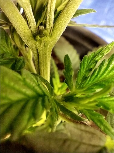 IMG_20220111_183756695_HDR