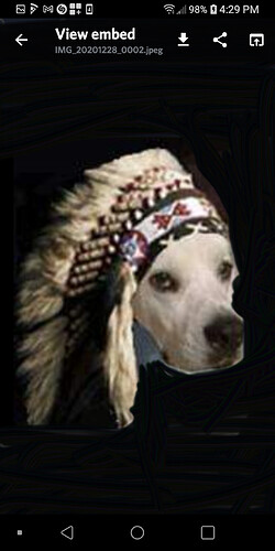 Screenshot_20201228-162938