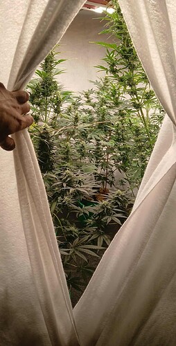 Messenger_creation_47084A91-6937-45B8-9AAA-ED8BE2381106