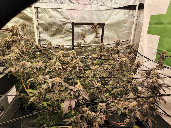 20220826_163311