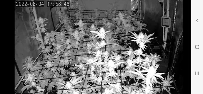 Screenshot_20220804-175856_Tuya Smart