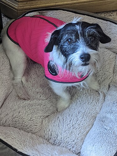 PXL_20220708_183954442