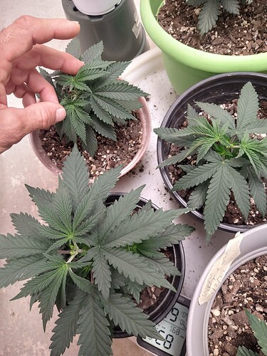 IMG_20220109_134816294_HDR