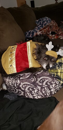 20190103_182937