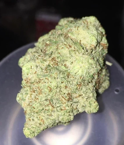 same-strain-first-picture-is-hand-trimmed-and-second-is-v0-gx45jhc3ib391.jpg