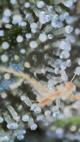 2022_03_04_11_43_58_043