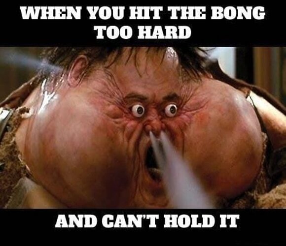 hit-the-bong-too-hard-meme-700px