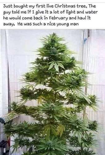 tree