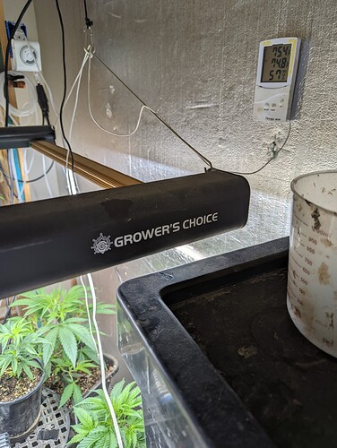 PXL_20220622_194034243