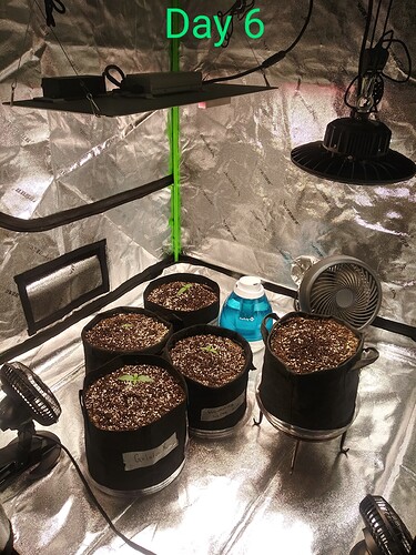 20210910_121732_HDR~2