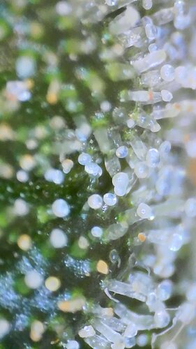 2022_03_04_11_51_30_347