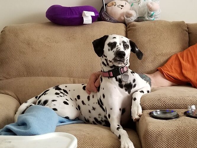 5C0DCE7C-ADF1-446A-8658-99285E4F7682