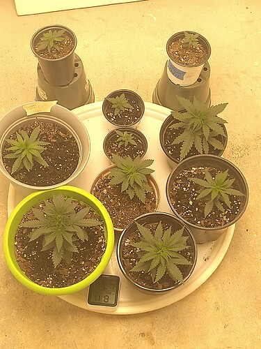 IMG_20220102_195129282