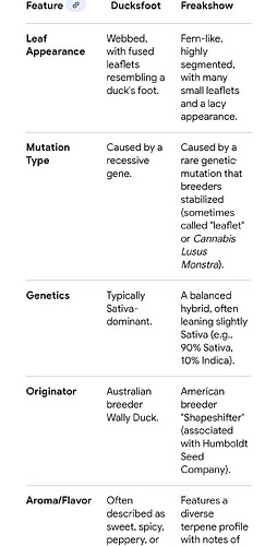 Screenshot_20251103_231131_Chrome