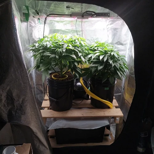 IMG_20220329_160046_670