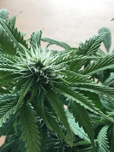 66B40D76-DAA7-4E4E-857D-7C1241131519