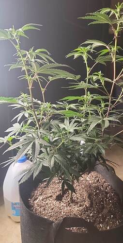 received_514160174246132