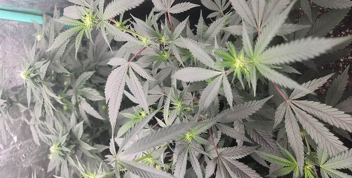 received_1266381167307359