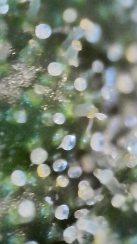 2022_03_02_10_34_19_352