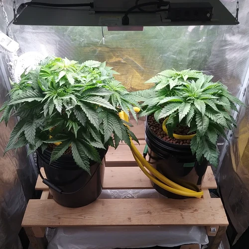 IMG_20220319_194302_755