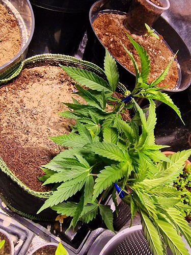20221115_090711
