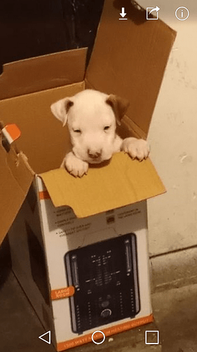 Screenshot_2020-12-21-05-38-24