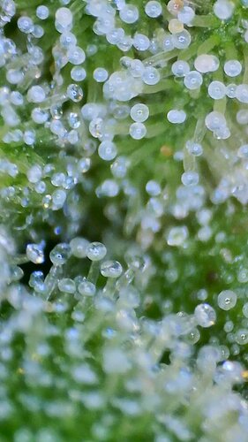 2022_03_04_11_56_29_079